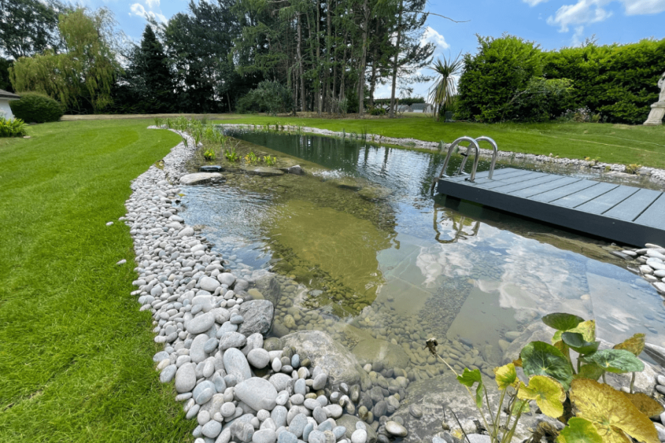 Swimming Pond