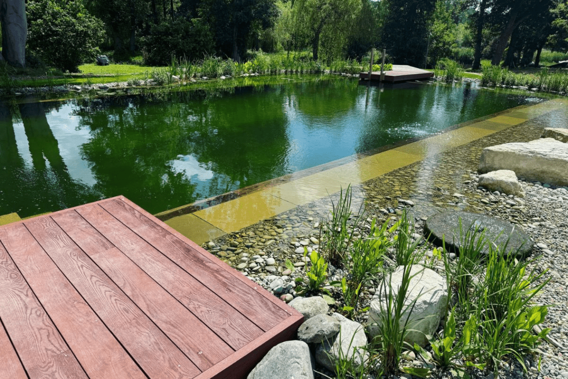 Swimming Pond